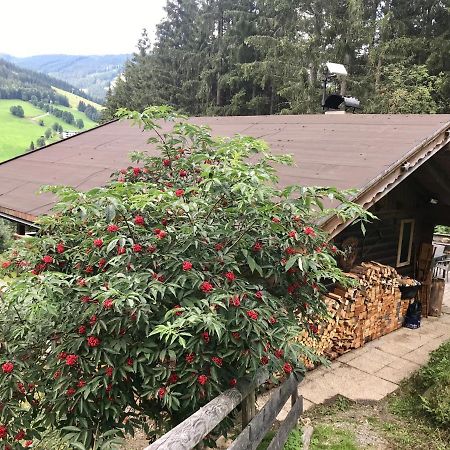 Wasserfallhuette Saalbach Esterno foto